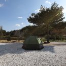 왕피천관광농원 이미지