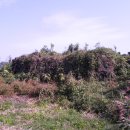 함덕연대 이미지