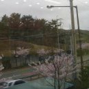 남목작은도서관 이미지