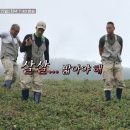 정선헬스 이미지