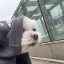 부천준동물병원 이미지