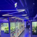 짱오락실 나인몰점 이미지