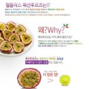 후르츠