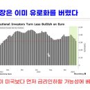 [홍장원의 불앤베어] 미국은 어쩌면 유럽의 분열을 희생양으로 삼을지 모른다 이미지