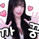 스톰피시방 이미지