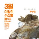 도다리
