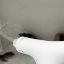 도마뱀집사TV