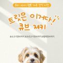 이거다 펫