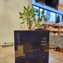 모네동물피부과 | 내가 사랑한 화가들 / 미술 / 정우철著 / 나무와철학 / 302p.