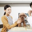 안성동물의료센터 이미지