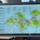 국립소록도병원 한센병박물관 | 내돈내산 소록도 한센병 박물관 방문 후기