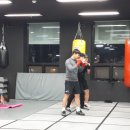 팀엑스 복싱 이미지