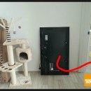 마동스위트벨리 이미지