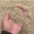 이철우농장 | 늦은 후기:: 2022 경북농식품 산업대전 관람 후기!