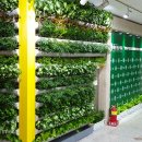 화랑초교 이미지