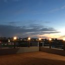 스파리스 이미지