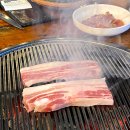 [의왕] 백운호수 야외 삼겹살 숲속뷰 라이브공연 최고 : 대들보정육식당