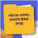베이비몽 인천논현점 | 인천강아지분양 준비하며 알게 된 베이비몽 강아지분양 인천청라점 이야기^^!