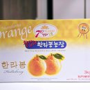 칠십리감귤한라봉농장