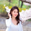 수잔