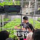 베어팜(주) | 울산 굿프렌즈스마트팜 진로 체험학습 후기: 미래 농업의 주역, 차수국을 만나다! 직업체험,진로설계...