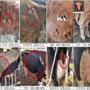 현태농장 이미지