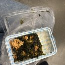 31140-9-20-5 | 9월 스위스 신혼여행, 융프라우요흐 절망편과 20분의 기적