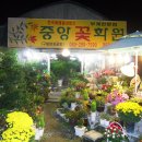 중앙꽃화원 이미지
