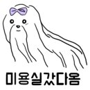 살롱 드 문(salon de moon) 이미지