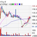 (주)마제스타 마제스타카지노 이미지