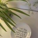 와작와작 이미지