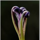 달맞이 펜션 이미지