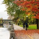 한진2농장 이미지