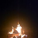 동호솔숲 이미지