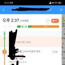 카카오맵 승하차알림 이미지