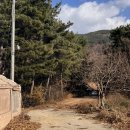 스테이외송 이미지