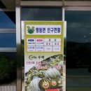 맹동면사무소 이미지