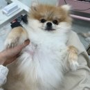 대빵하우스 이미지