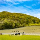 더불어 목장 이미지