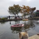 광돈이네 이미지