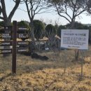 농업기술센터 서부지소 | [제주서부농업기술센터] 선인장, 유채꽃 무료관람...3월초 방문 리얼후기, 제주아이와 함께 가볼만한...