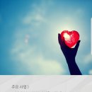 법인그루 이미지
