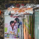 용인대오현태권도