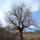 각산리 마을회관 이미지