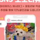 마이제이스 이미지