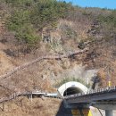 금산수삼센타 이미지