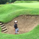 파인골프클럽 이미지