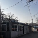 감나무골식당 네이버블로그