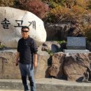 (주)한신고속관광 Daum카페