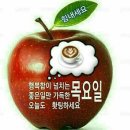 얼음과자 왔어요 [잘난 사람 영상 글] 이미지